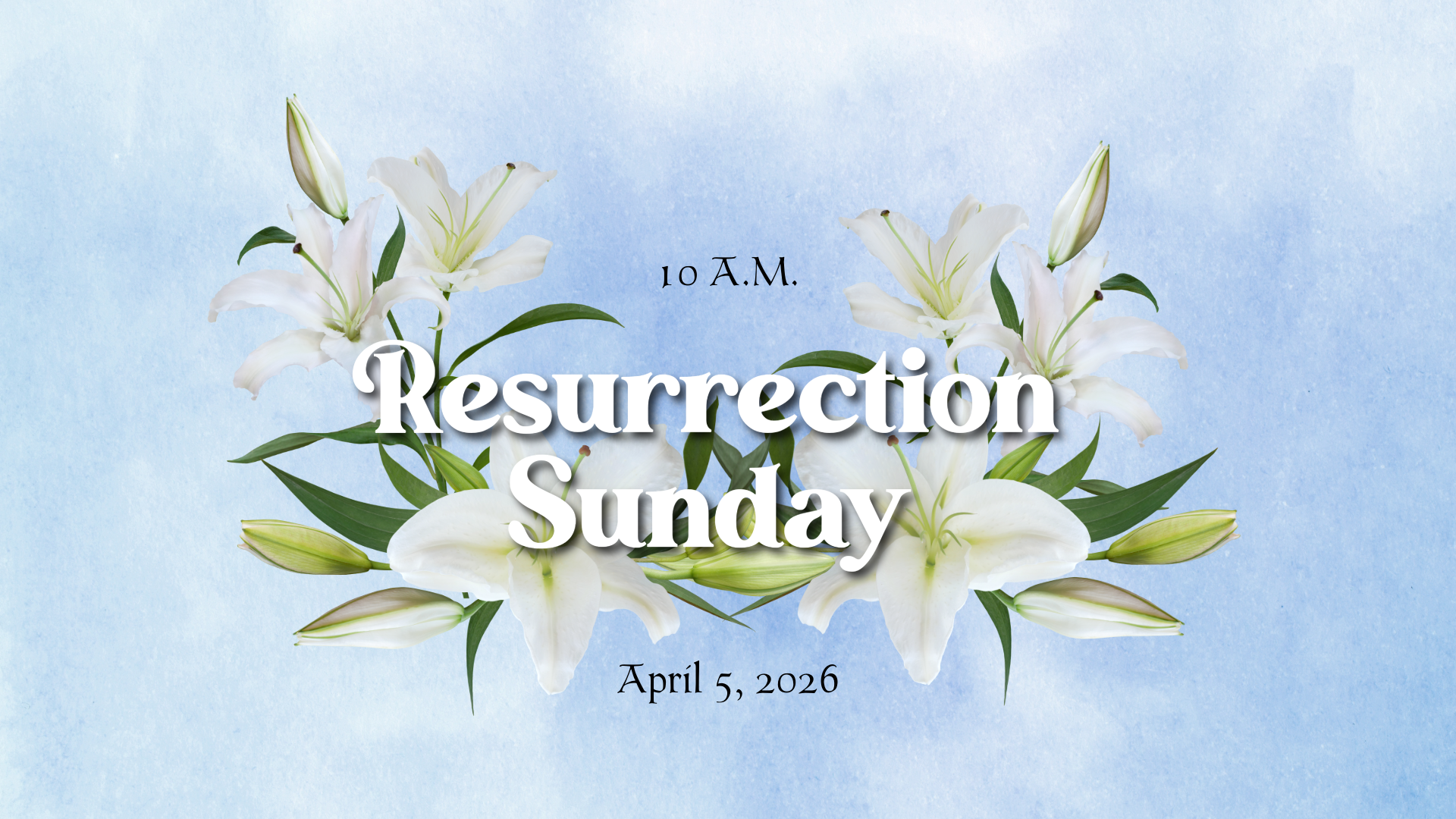 Minimalist logo of white wheat on a bright orange background, from Facebook.